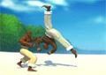 Capoeira Fighter