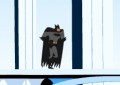 Batman Versus  Mr Freeze