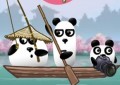 3 Pandas in ...