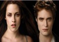 Twilight: Br...