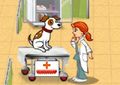 Pet vet