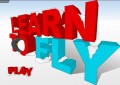 Learn To Fly