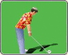 3D golf