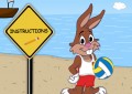 Beach Volley...