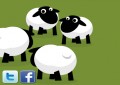 Sheep Termin...