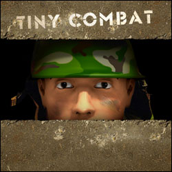 Tiny combat