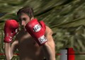 Hyrule Boxing Challenger 