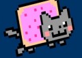 Nyan Cat Fly