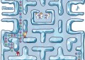 Snow Maze