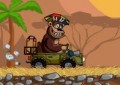 Magic Safari