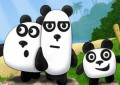 3 Pandas