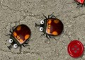 Bugs in Love