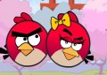 Angry Bird Seek Wife