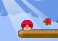 Rolling Angry Birds