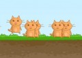 Cats Astrona...