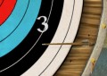 Bowmaster Target Range