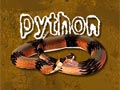 Python