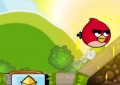 Angry Birds Find Your Partner