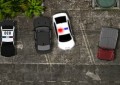 Tropical Police Parking