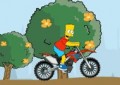 Simpson Bike